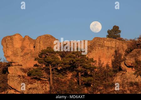 La Luna llena de febrero, conocida como Luna de Nieve, pudo verse mientras el satélite ingresaba en la zona de penumbra de la Tierra, en lo que se conoce como un eclipse penumbral. Aqui se observa su salida en el horizonte de los cerrros cercanos a Creel, Chihuahua, Mexico donde habita la comunidad indigena raramuri The full moon of February, known as Snow Moon, could be seen as the satellite entered the penumbra zone of the Earth, in what is known as a penumbral eclipse. Here it is observed its exit in the horizon of the hills near Creel, Chihuahua, Mexico where inhabits the indigenous commun Stock Photo