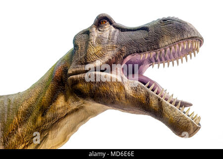 Sculpture of dinosaur ( Tyrannosaurus rex ) in live size with open jaws. Isolated. Clipping Path included. Stock Photo