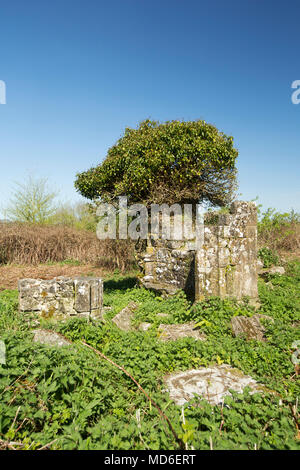 The remains St Mary’s Church and graveyard East Stoke Dorset England UK. A sign at the site states that most of the church dates back to the 15th cent Stock Photo