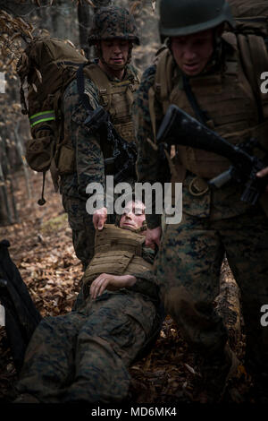 U.S. Marines attending the Martial Arts Instructor Trainer Course participate in the culminating event at The Basic School, Marine Corps Base Quantico, Va., March 28, 2018. The exercise is a five-hour event, which challenges the students to show expertise in ground fighting, weapons free sparring, and bayonet and knife techniques. (U.S. Marine Corps Photo by Staff Sgt. Melissa Marnell) Stock Photo