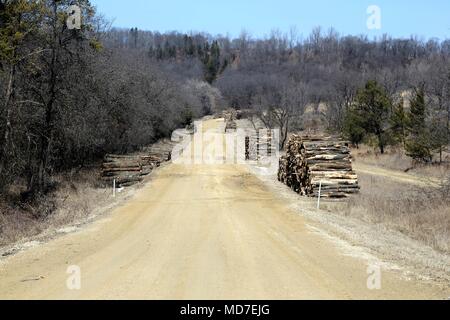 Logs are shown in piles along Burma Road on March 22, 2018, on North Post at Fort McCoy, Wis. The logs were part of a timber harvest near the roadway by FutureWood Corp. of Hayward, Wis. The company was cutting in training area M-7 on the north end of Burma Road. Timber sales are administered by the Omaha District of the Army Corps of Engineers and are sold by sealed bid. Timber sale bidding is held once each year, typically in December. Revenue from the timber sales goes into an Armywide forestry account and is returned to fund forestry projects on Fort McCoy. The timber harvest activities al Stock Photo