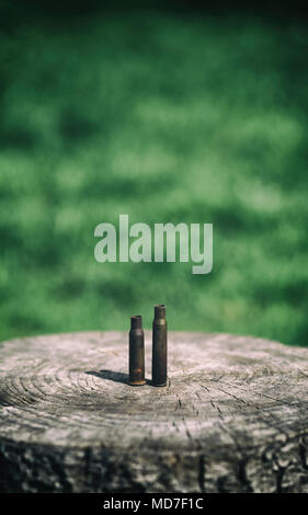Two empty shotgun shell bullet outdoor on wooden plank with green bokeh background Stock Photo