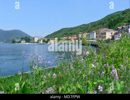 view of Porto Ceresio a  summer landscape of Lake Lugano, italy Stock Photo