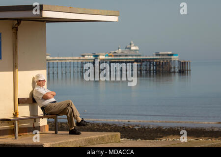 Elderly male alone sat on bench Stock Photo