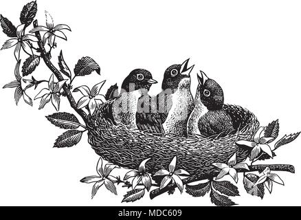 Baby Birds - Retro Clipart Illustration Stock Vector