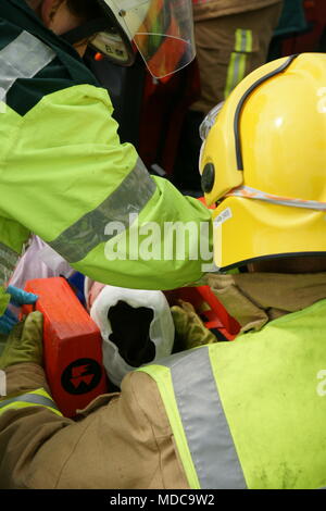 Vehicle collision victims on motorway, road traffic collision, Stock Photo