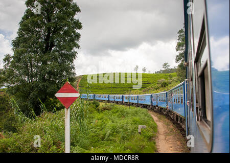 Train ride from Ella to Kandy, through tea plantations in the Sri Lankan highlands. Blue carriages winding in a lush green landscape Stock Photo