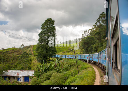 Train ride from Ella to Kandy, through tea plantations in the Sri Lankan highlands. Blue carriages winding in a lush green landscape Stock Photo