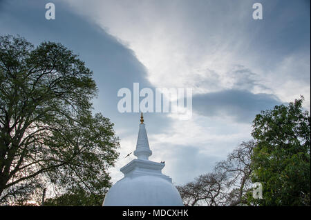 Twilight over the Natha Devala stupa, Kandy, Sri Lanka. Trees frame  the dome under a beautiful sunset sky Stock Photo