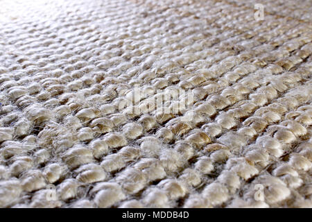 Carpet texture Stock Photo