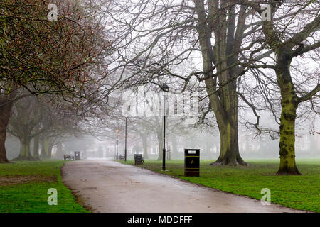 Northampton. UI.K. A wet morning in Abington Park, mist and rain for the start of the day. Stock Photo