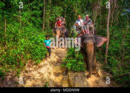 Tourists riding elephants in Thailand Stock Photo