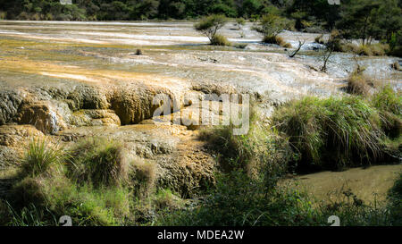 Waimangu Volcanic Rift Valley in Rotorua region, Marble terraces, North Island of New Zealand Stock Photo