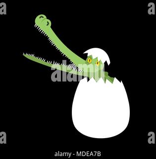 Hatched crocodile from egg isolated. Vector illustration Stock Vector