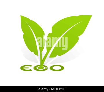 Logo Eco with green leafs  Stock Vector