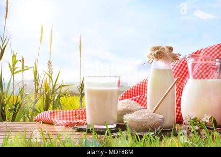 Composition with rice drink on wooden base in the field. Alternative milk. Front view. Horizontal composition Stock Photo