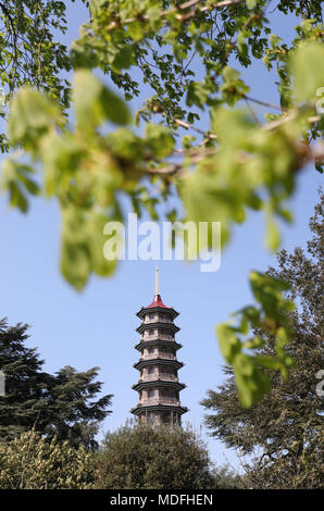 General view of the Great Pagoda at Kew Gardens in west London. Stock Photo