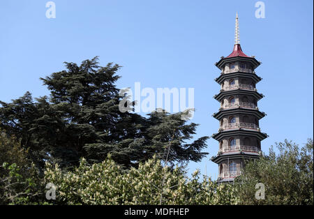 General view of the Great Pagoda at Kew Gardens in west London. Stock Photo