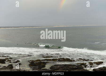 Surfers and dolphins, Jeffreys Bay, Kouga, Eastern Cape, South Africa Stock Photo
