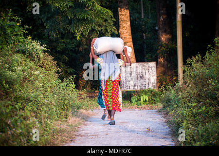 Indian woman carrying a bundle on her head. Indian girls are carrying two big bags on their head on the road in the jungle forest. Stock Photo