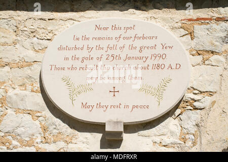 Plaque recognizing the remains of the 1400 year old yew tree outside St. Mary's church in Selborne village, Hampshire, UK Stock Photo