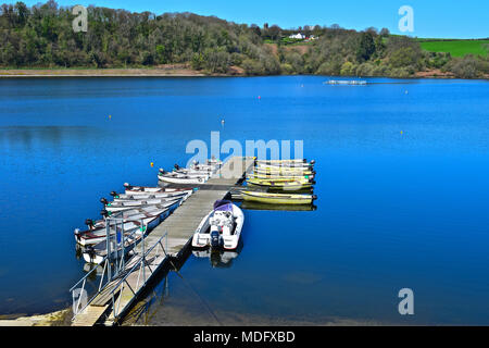 A pretty scene of hire boats at moorings against jetty at Llandegfedd reservoir,Pontypool,S.Wales. Perfect day of clear blue sky and calm blue water. Stock Photo