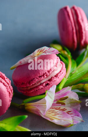 Pink macaroons decorated with pink and white alstroemeria flowers. Romantic French dessert on stone background with copy space. Stock Photo