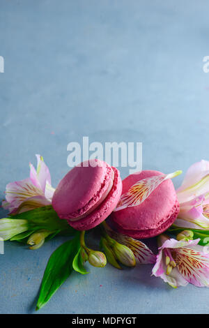 Pink macaroons decorated with pink and white alstroemeria flowers. Romantic French dessert on stone background with copy space. Stock Photo