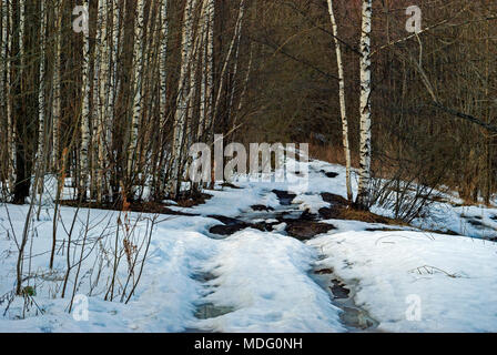 half-melted dirt road in the spring forest with thawed patches Stock Photo