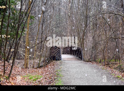 A rustic bridge on a nature trail in a snowstorm. Stock Photo