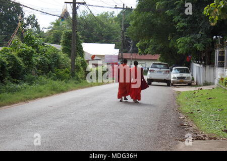 Two young monks walking from behind on Watnak Nyai Road. Vientiane, Laos, 2015. Stock Photo