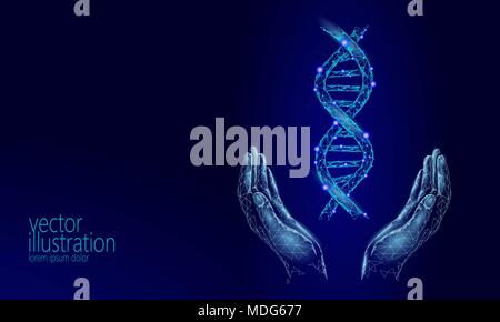 DNA 3D chemical molecule structure hands low poly. Polygonal triangle point line healthy cell part. Microscopic science blue medicine genome engineering vector illustration future business technology Stock Vector