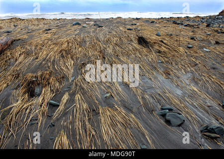 Sand washed over the barrier at Long Beach, Lower East Chezzetcook, Nova Scotia, Canada. Stock Photo