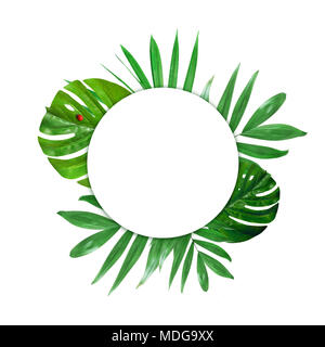 Creative layout of foliage on a white background with space for text. Frame of green leaves. Floral background. View from above. Stock Photo