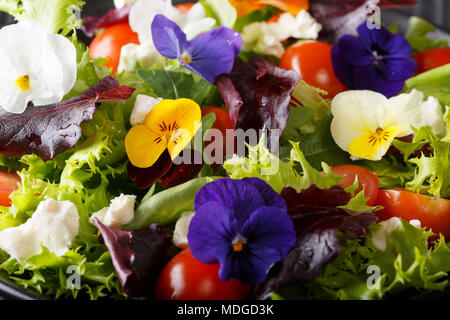 Salad of flowers with lettuce, tomatoes and cream cheese close-up background. horizontal Stock Photo