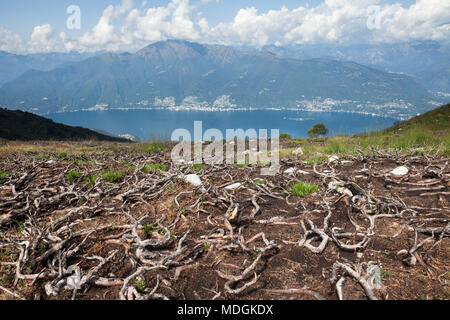 The damage of the fire on the summit of Monte Paglione (Mount Paglione) with Lago Maggiore (Lake Maggiore) in the background. Veddasca, Italy Stock Photo