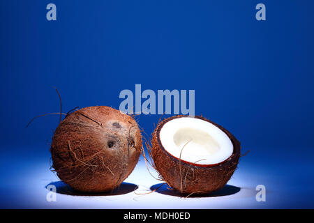 Ripe tropical coconut fruit isolated on a blue background Stock Photo