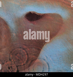 Pink Floyd Division Bell album Stock Photo - Alamy