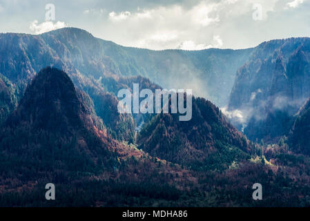 Hot spots smoke long after a wildfire in the Columbia Gorge,; Warrendale, Oregon, United States of America Stock Photo