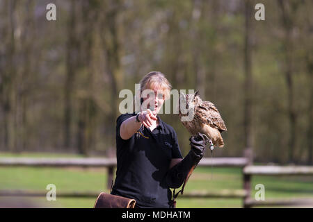 REKE, GERMANY - APRIL 15, 2018: Unknown woman with an owl on her hand giving a show in a local animal park Stock Photo