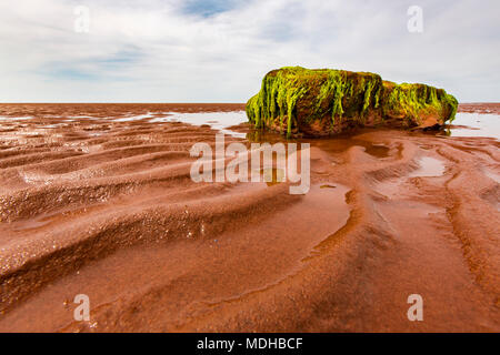 Bright green moss hanging from a large rock on the wet, red sand on shore; Prince Edward Island, Canada Stock Photo