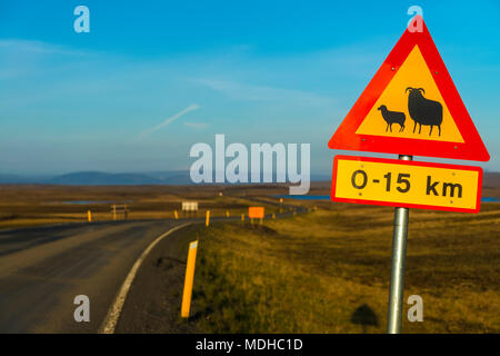 Road sign warning of sheep crossing and change of speed limit, near Laugarvatn; Iceland Stock Photo
