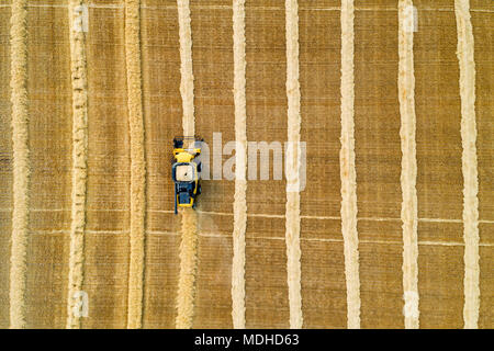 Aerial artistic view directly above a combine collecting lines of grain; Beiseker, Alberta, Canada Stock Photo