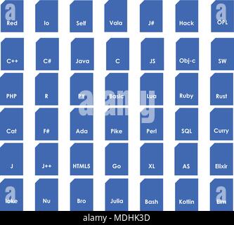 Programming languages format icon. vector icon. flat style Stock Vector