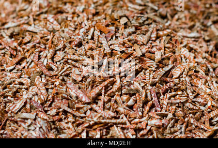 betel nut supari cut finely cut for sale in super market Stock Photo