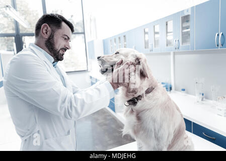Nice handsome man looking at the dogs teeth Stock Photo