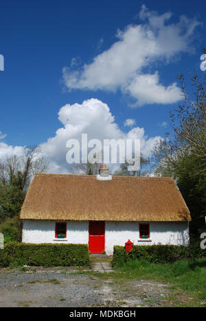 Well Maintained Old Irish Cottage with Thatch Roof, Red Door, Whitewashed Walls and Low Hedging Stock Photo