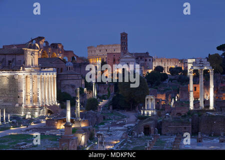 Roman Forum with Colosseum behind, Dawn, Foro Romano, Rome, Lazio, Italy Stock Photo
