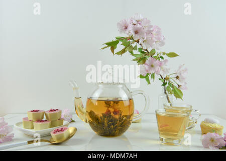 summer time flowering tea in glass teapot Stock Photo