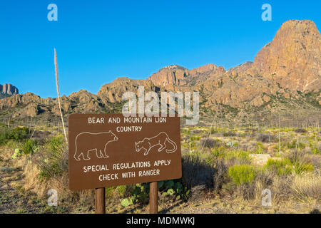 Texas, Big Bend National Park, view from Chisos Basin Road, bear, mountain lion warning sign Stock Photo